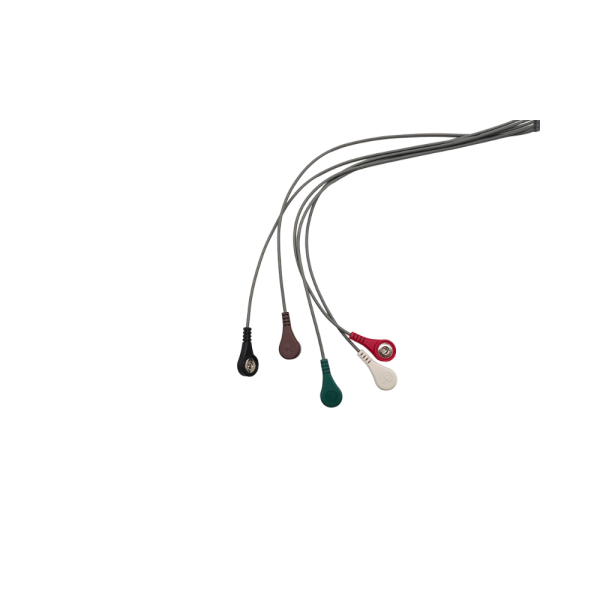 11.Norav Compatible 5 leads ECG Holter Lead-wires and cables - Image 2