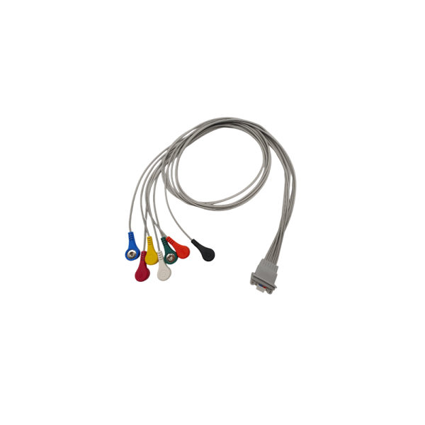 21.Schiller Compatible 7 leads Holter Recorder ECG Cables and Leadwires