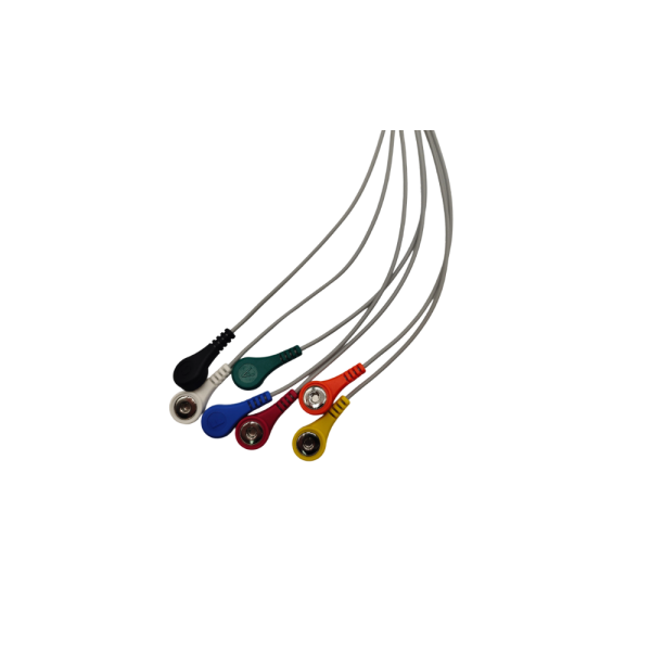 21.Schiller Compatible 7 leads Holter Recorder ECG Cables and Leadwires - Image 2