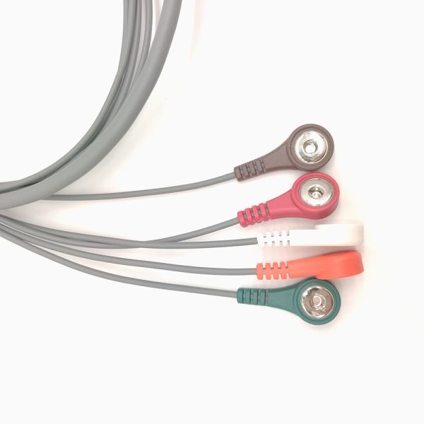 56.DMS Compatible 5 leads Holter Recorder ECG Cables and Leadwires - Image 3