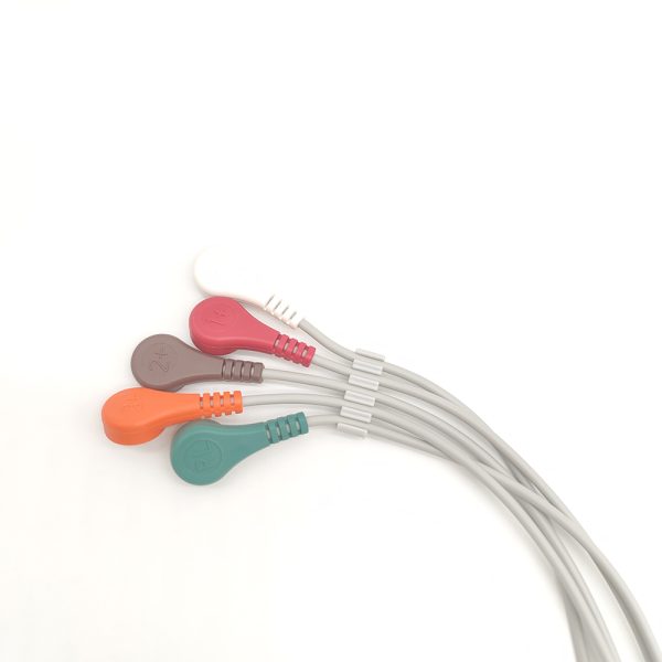 62.biocare Compatible 5 leads Holter Recorder ECG Cables and Leadwires - Image 3