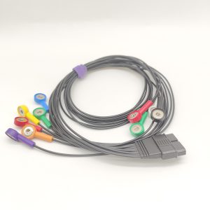 77.Schiller Compatible 10leads/12 leads Holter Recorder ECG Cables and Leadwires