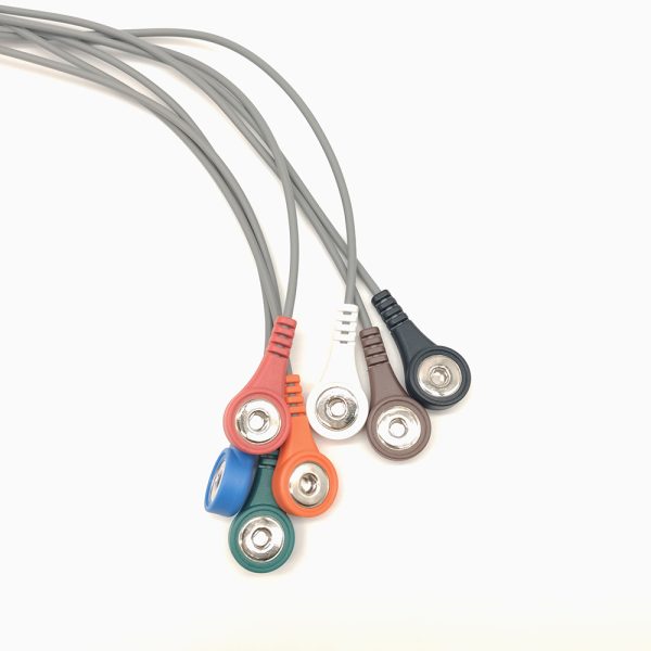123.DMS Compatible 7 leads Holter Recorder ECG Cables and Leadwires - Image 2